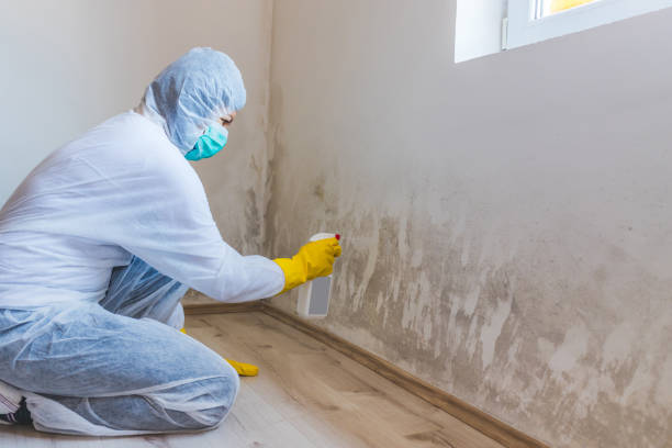 Commercial Mold Remediation assessment for commercial property in Lutherville Timonium